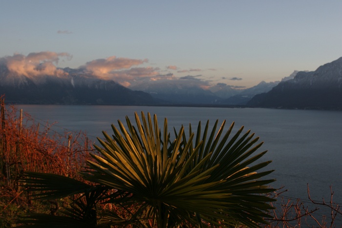 Depuis vignes Corseaux - 034